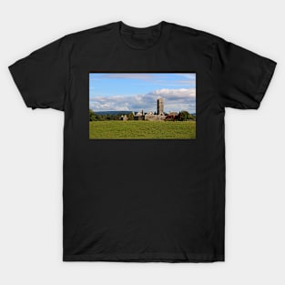 Quin Abbey in Rural Ireland T-Shirt